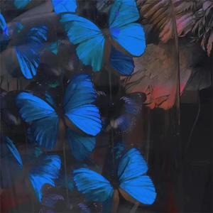 日本特级黄色录像片人与狗性交免费播放
